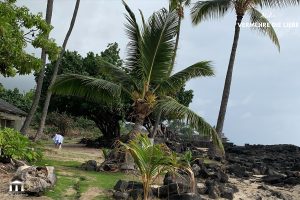 hawaii Bilder Kopie11