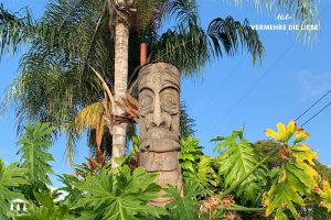 hawaii Bilder Kopie18