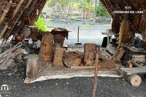 hawaii Bilder Kopie22