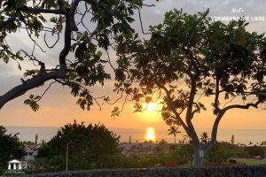 hawaii Bilder Kopie8